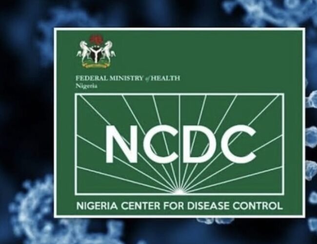 2027 Elections Could Be Postponed If Ebola Spreads, NCDC Warns As Nigeria Evacuates Patient To Switzerland
